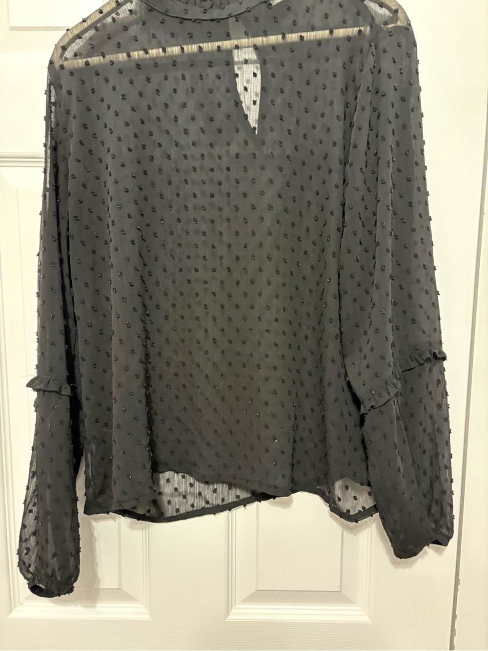 Sheer Black Swiss Dot Long Sleeve Blouse